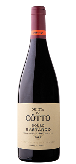 cotto-bastardo
