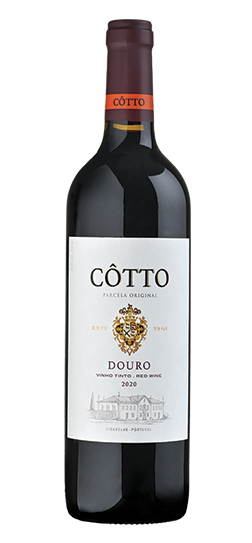cotto tinto