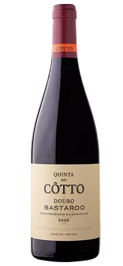 cotto-bastardo